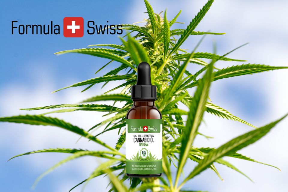 Formula swiss: De mest populære cannabisdråber i danmark